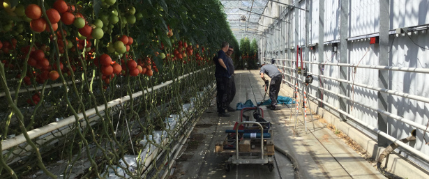 Des chariots de tomates remis sur les rails grâce à la méthode URETEK FloorLift®