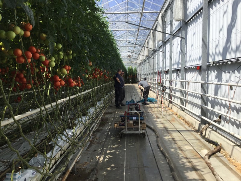 Kasvloer Adrichem - injecteren