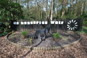 Diverse verzakte woningen vakantiepark Stegeren  succesvol gelift